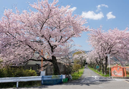 201704131205-DSC05205RX10M3.jpg