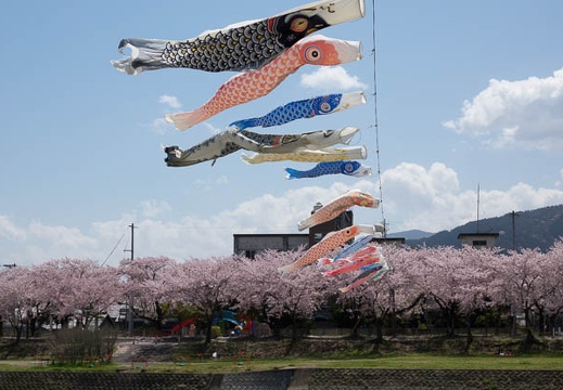 201704131233-DSC05327RX10M3.jpg