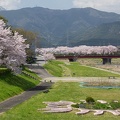 201704131304-DSC05436RX10M3.jpg