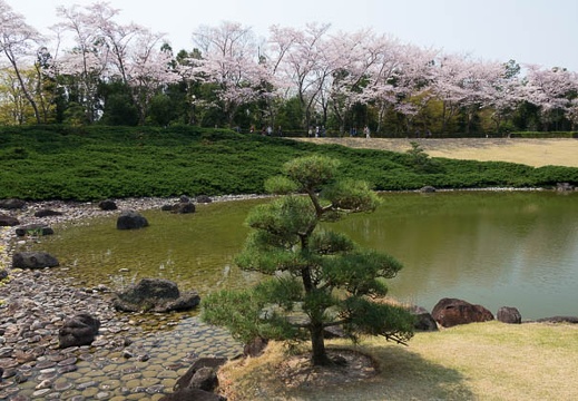201704141039-DSC05746RX10M3.jpg