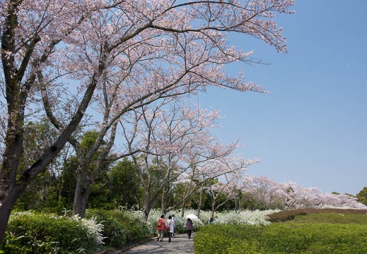 201704141051-DSC05805RX10M3.jpg
