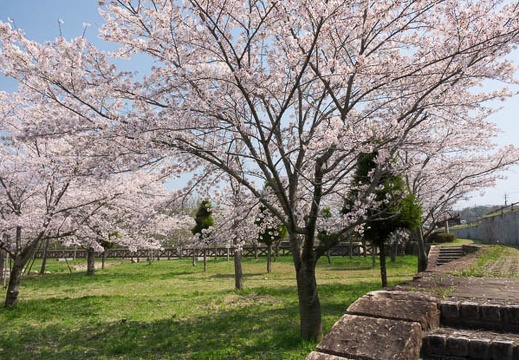 201704141317-DSC06021RX10M3.jpg