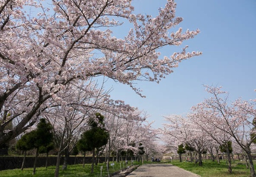 201704141318-DSC06024RX10M3.jpg