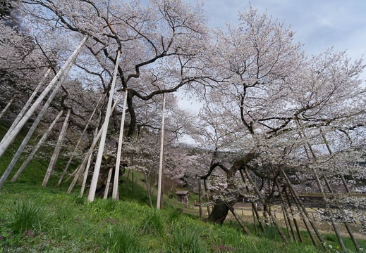 201704271454-DSC07518N5R.jpg