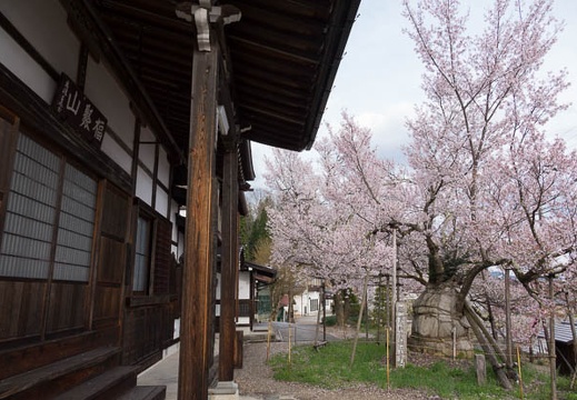 201704271601-DSC06197RX10M3.jpg