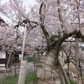 201704271602-DSC06201RX10M3.jpg