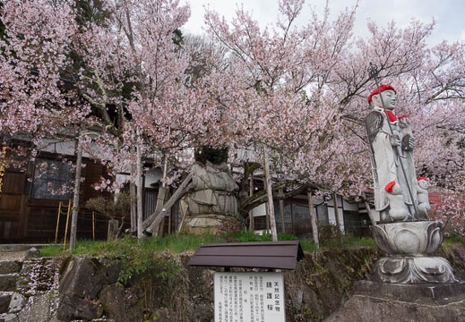 201704271602-DSC06204RX10M3.jpg
