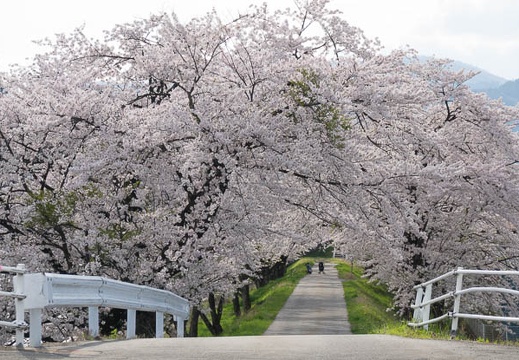 201704271621-DSC06223RX10M3.jpg