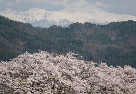 201704271623-DSC06239RX10M3.jpg