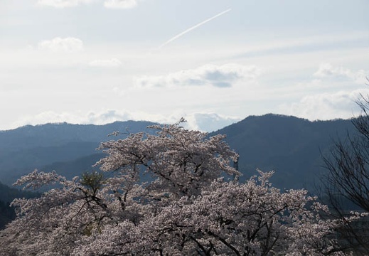 201704271638-DSC06301RX10M3.jpg