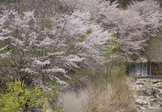 201704291130-DSC06734RX10M3.jpg