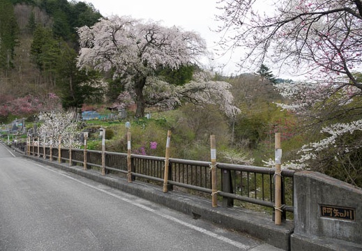 201704291215-DSC06800RX10M3.jpg