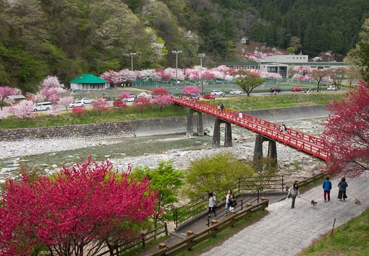 201704291316-DSC06888RX10M3.jpg
