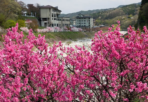 201704291353-DSC06977RX10M3.jpg