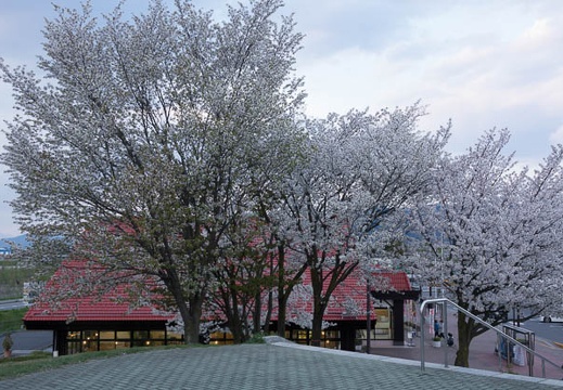 201704291757-DSC07122RX10M3.jpg