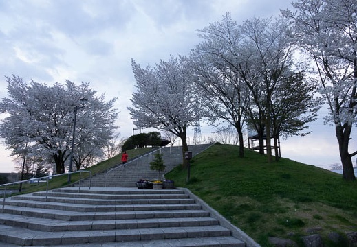 201704291800-DSC07132RX10M3.jpg