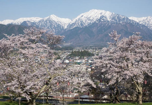 201704300703-DSC07240RX10M3.jpg