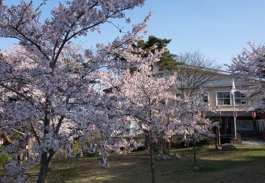 201704300704-DSC07244RX10M3.jpg