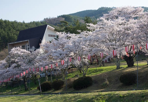 201704300712-DSC07276RX10M3.jpg