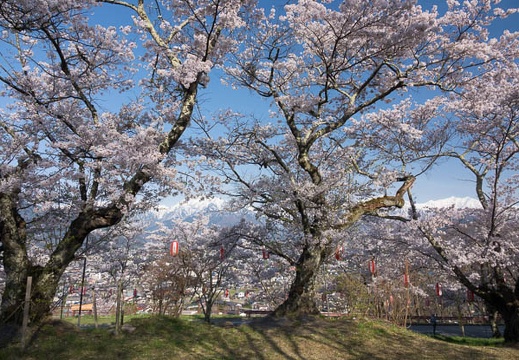 201704300716-DSC07289RX10M3.jpg