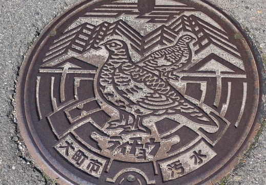 201704300859-DSC07505RX10M3.jpg