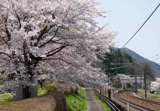 201704301143-DSC07545RX10M3.jpg