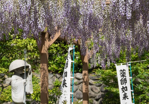 201705021419-DSC07983RX10M3.jpg