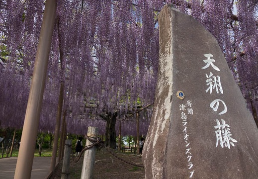 201705021554-DSC08203RX10M3.jpg
