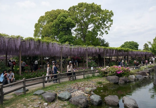 201705031323-DSC08386RX10M3.jpg
