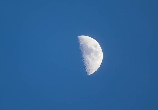 201705031827-DSC08523RX10M3.jpg