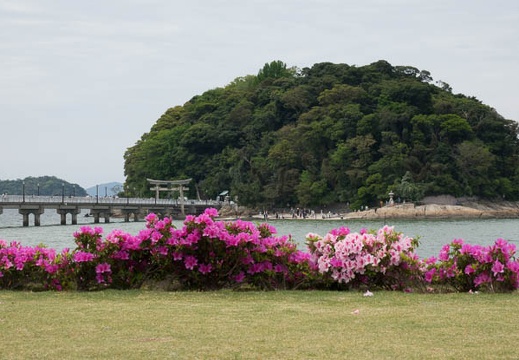 201705041029-DSC08709RX10M3.jpg