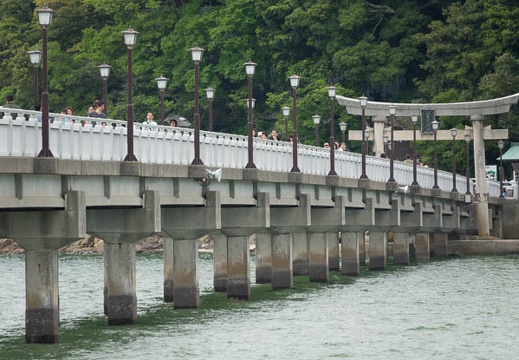 201705041032-DSC08717RX10M3.jpg