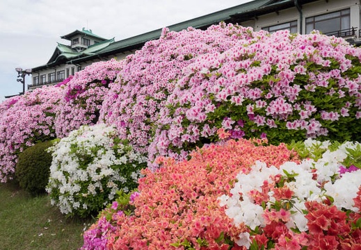 201705041130-DSC08796RX10M3.jpg