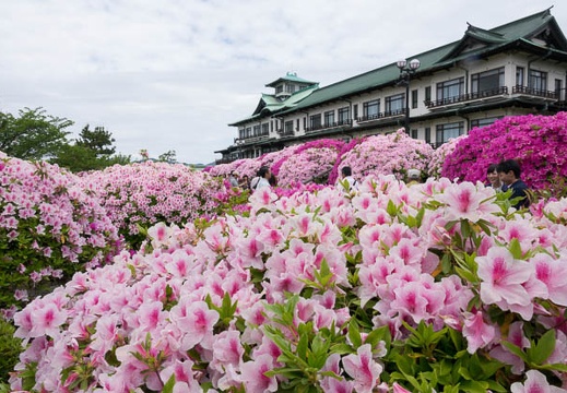 201705041151-DSC08841RX10M3.jpg