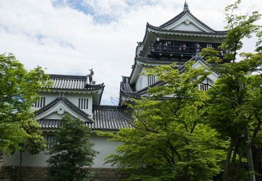 201705041336-DSC08879RX10M3.jpg