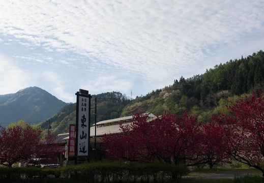 201705050649-DSC08996RX10M3.jpg