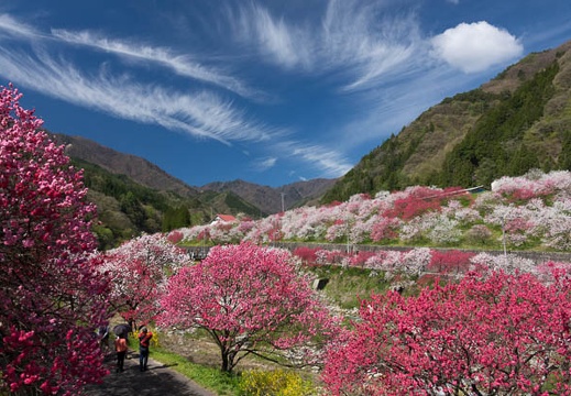 201705050903-DSC09286RX10M3.jpg
