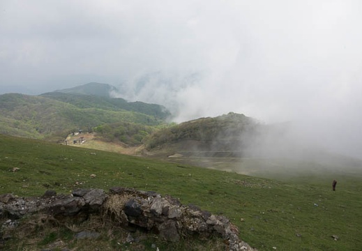 201705141135-DSC09882RX10M3.jpg