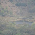 201705141152-DSC09910RX10M3.jpg