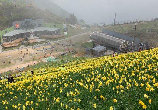 201705141211-DSC09956RX10M3.jpg