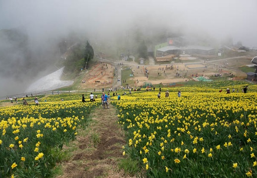 201705141216-DSC09973RX10M3.jpg