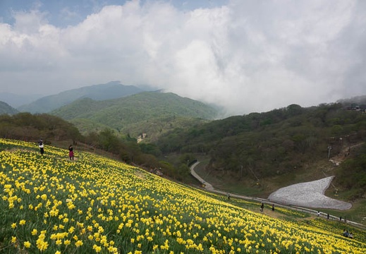 201705141222-DSC09995RX10M3.jpg
