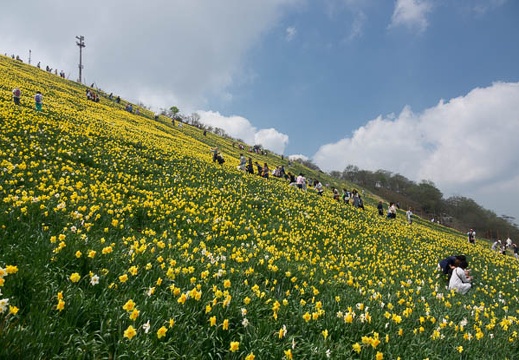 201705141246-DSC00061RX10M3.jpg