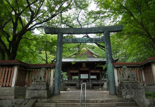 201705150917-DSC00408RX10M3.jpg