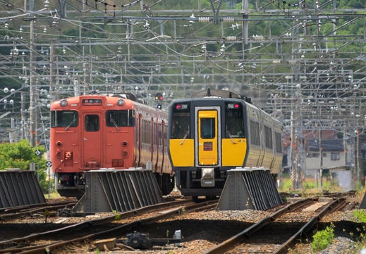 201705271050-DSC01619RX10M3.jpg