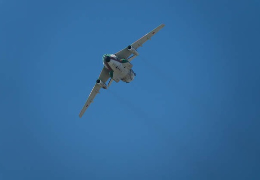 201705280948-DSC02277RX10M3.jpg