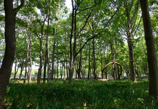201706011409-DSC03621RX10M3.jpg