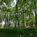 201706011409-DSC03621RX10M3.jpg