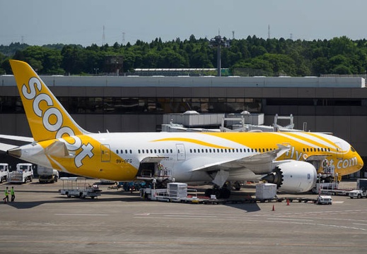 201706030918-DSC03911RX10M3.jpg