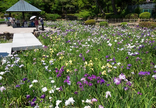 201706091238-DSC05123RX10M3.jpg